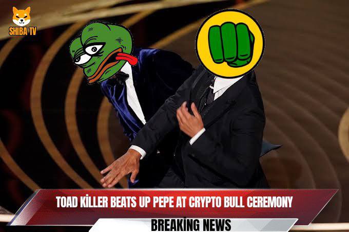 🐸Toad⚔️ tweet media