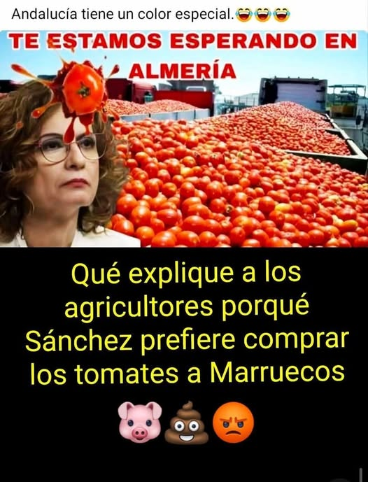 PEPE, en Español . INVICTUS MANEO.🇪🇸 🇮🇱 tweet media
