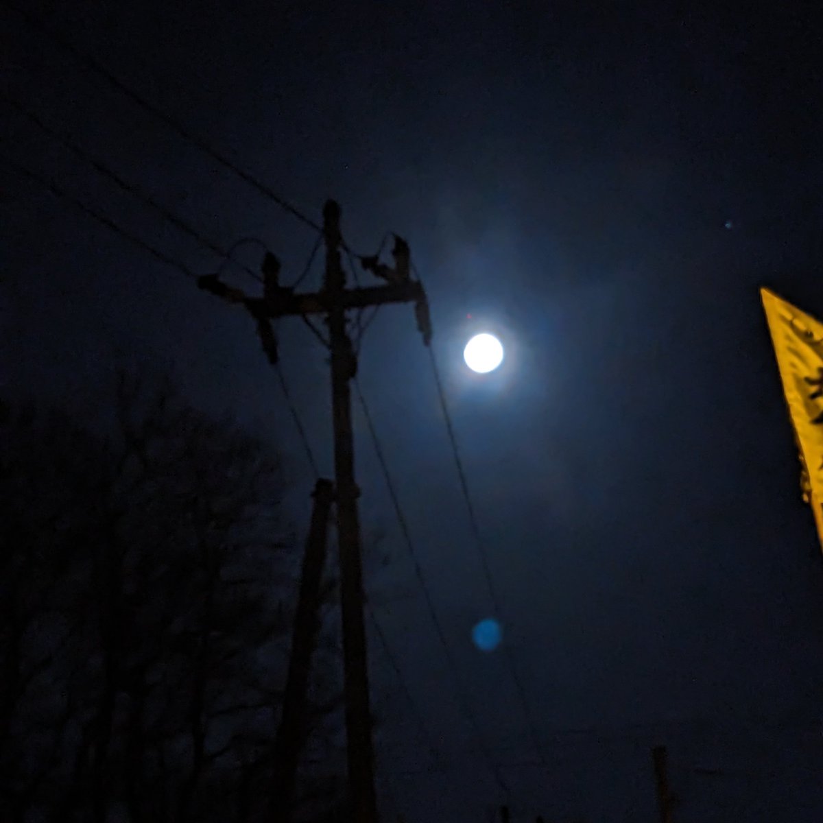 くりああさひ tweet media