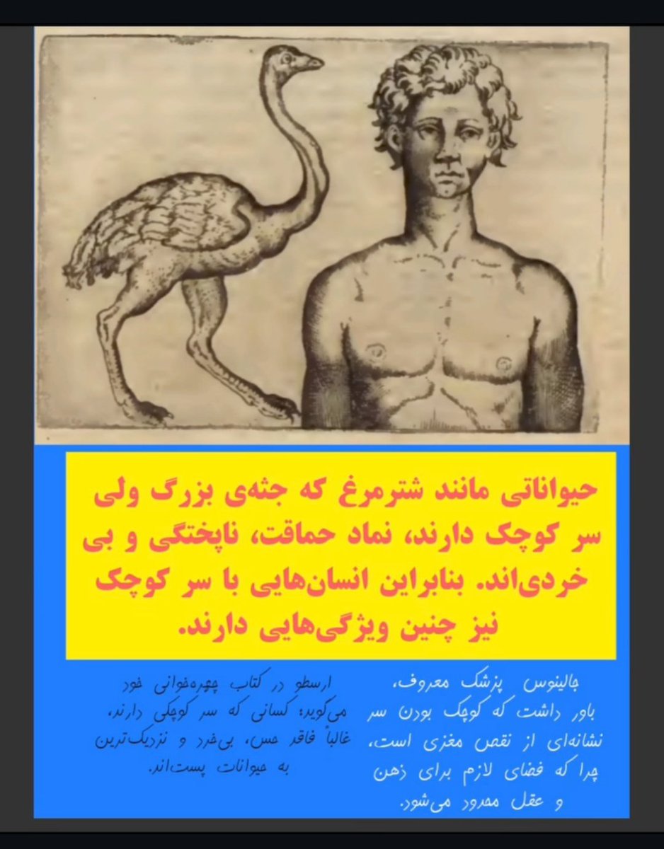 من بعد اینکه کچل کردم