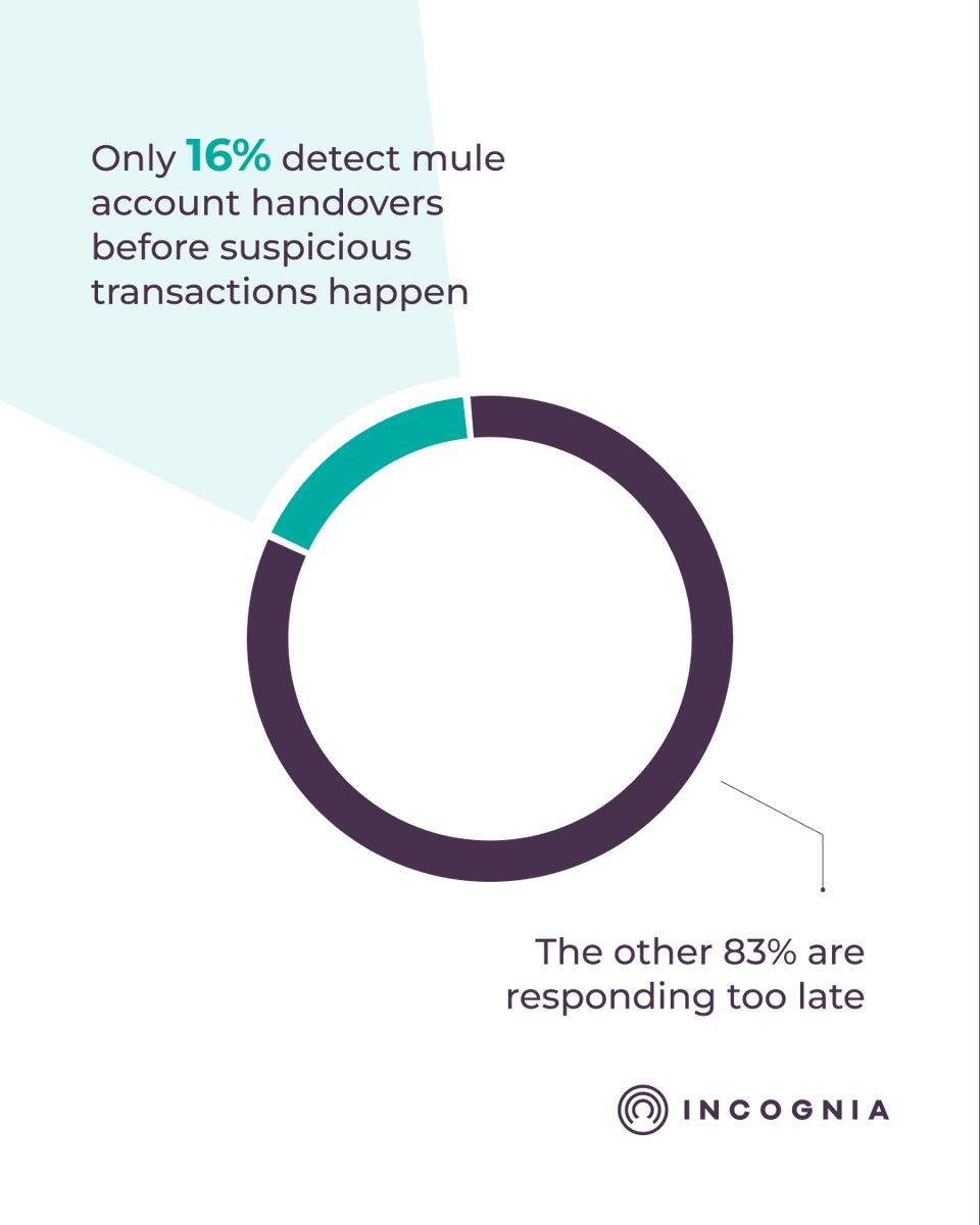andreferraz91's tweet photo. The 2026 State of Mule Account Handovers is out.

We surveyed 500+ fraud, risk, and AML professionals at financial institutions across the US and Europe.

81% have seen this type of fraud increase in the past 12 months.

78% are making detection a priority this year.

Only 16% catch it before suspicious transactions happen.

So institutions know it's growing. They're investing. They're still mostly catching it after the fact.

And when they do suspect mule handover activity, 51% restrict account access as a first response. Late detection leaves institutions with few good options. Legitimate customers pay for it when there are false positives.

The bigger issue is where that investment is headed.

51% are prioritizing AI and machine learning. But ultimately, these are just tools.

If you're feeding them the wrong data, the best model in the world won't get you to the right results.

The focus should be on the data. Having the right signals. Precise ones, grounded in continuous verification rather than point-in-time checks.

Link to full report: https://t.co/cooz0sWh8M