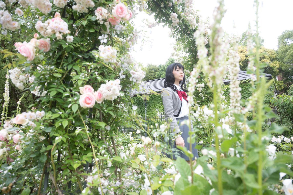 🐫☁️*結音* tweet media