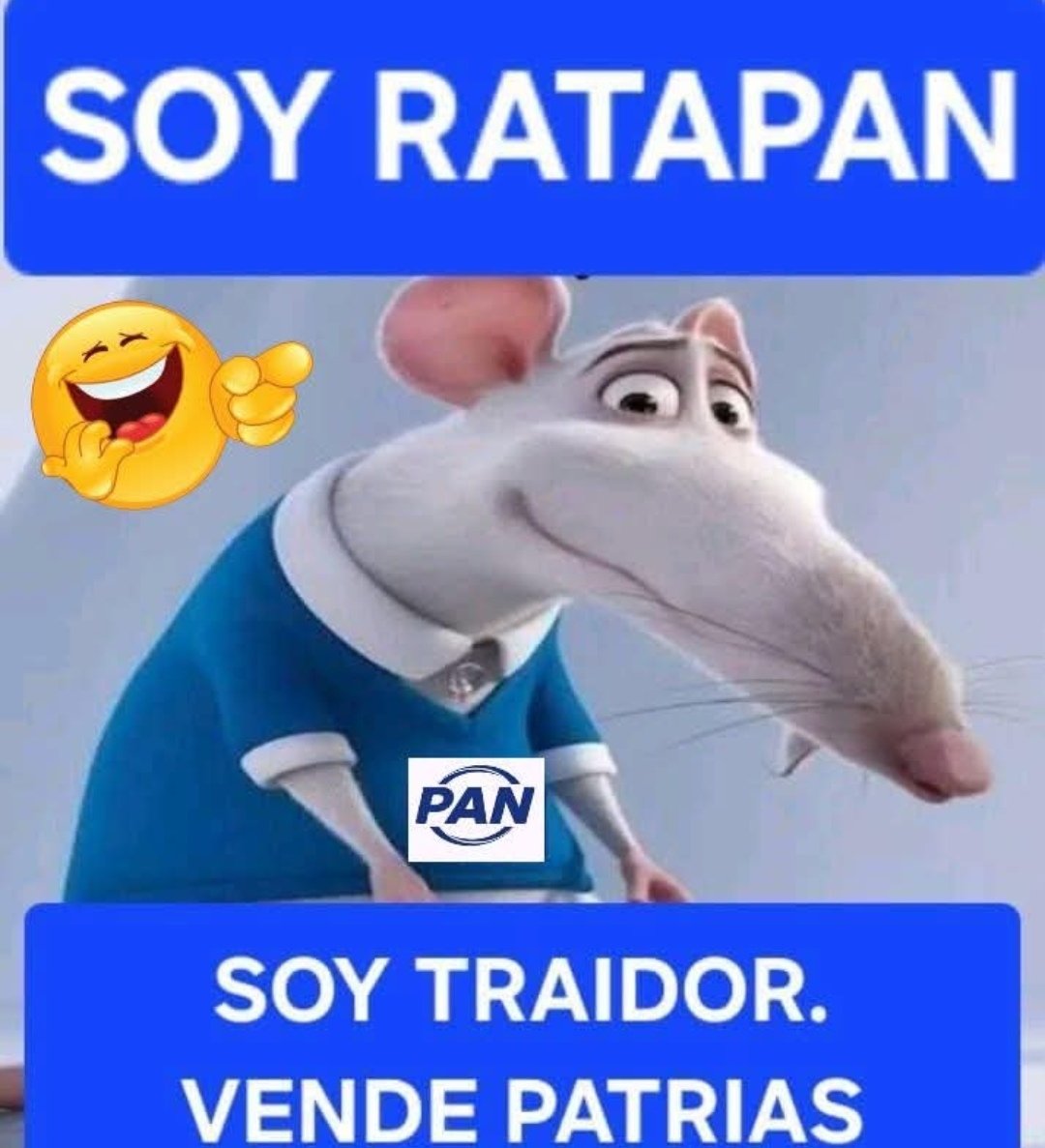 <a href="/Carlos092247333/">ese mi GALLAGHER</a> <a href="/AccionNacional/">Acción Nacional</a> Pues que se puede esperar de unas ratas!!!!!
#PANVendepatrias
🤮🤮🤮🤮🤮