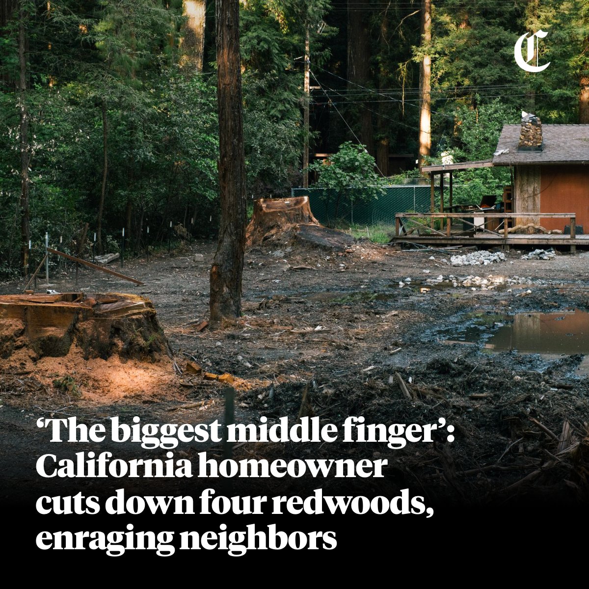 San Francisco Chronicle tweet media
