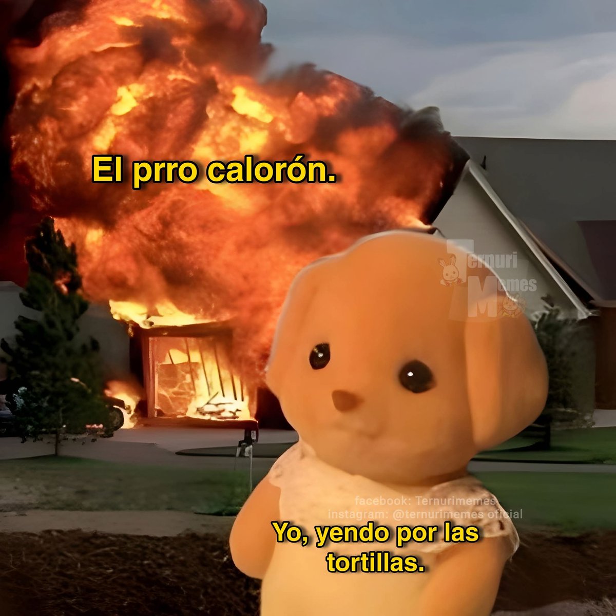 werirojiblanca's tweet image. #calor