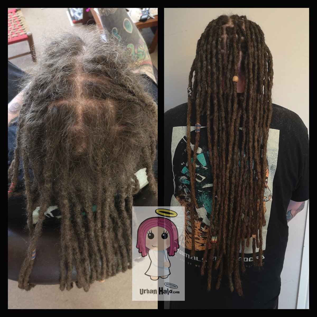 Urban_Halo's tweet image. Another great #dreadmaintenance appointment for Sam! 💪😇

I take on all kinds of work on #dreadlocks / #dreads / #locs, from regular root tightening, retwists on Sisterlocs, neglected #dreadrescue work etc.
Just drop me a message if you'd like me to take a look. ❤️

Urbanhalouk