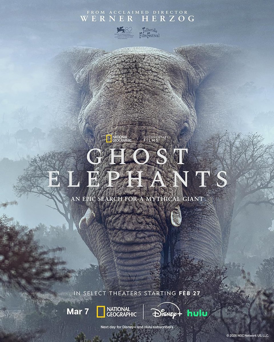 Oigan, si tiene chance, échense este documental. Está brutal. Me conmovió mucho.