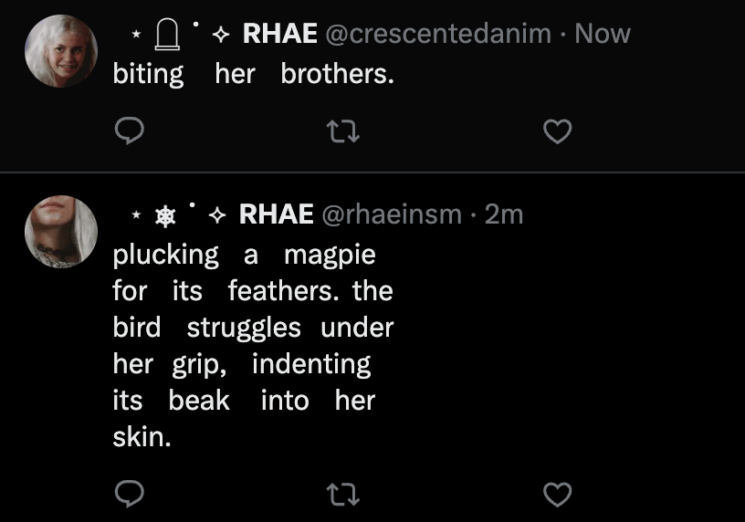 ‍‍ ‍ ‍ ‍⋆ ‍ ‍𓉸 ‍ ‍˙ ‍ ‍⟡ ‍ ‍RHAE tweet media