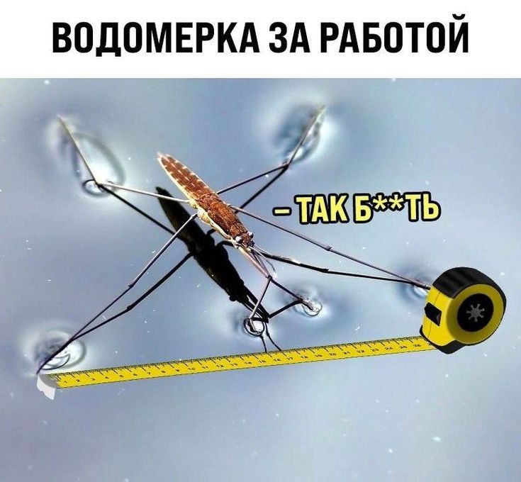 болоденбка ❤️ tweet media