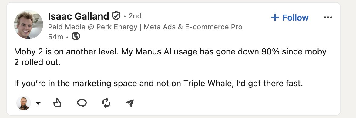AJ Orbach 🐳 tweet media