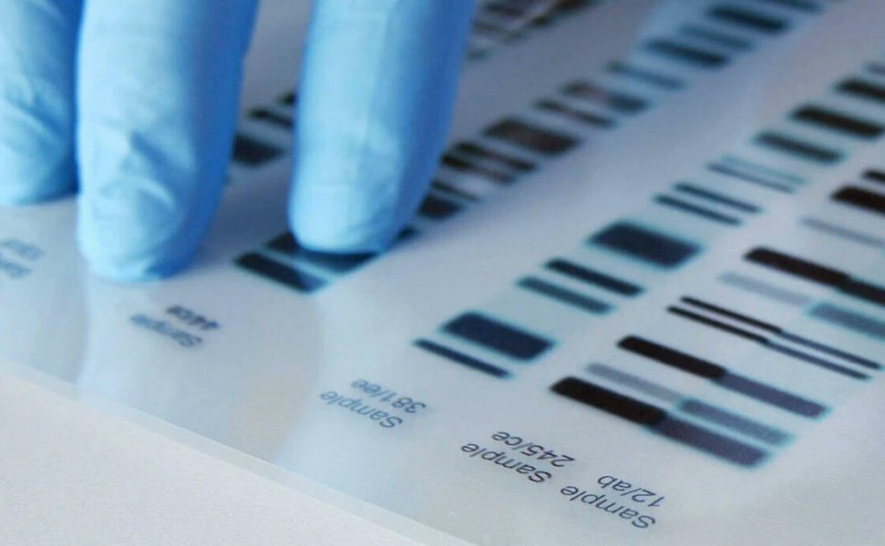 WebDPN's tweet image. Alabama invents new arguments to explain away DNA, presses ahead with death sentence deathpenaltynews.blogspot.com/2026/04/alabam… #alabama #deathpenalty #DNA