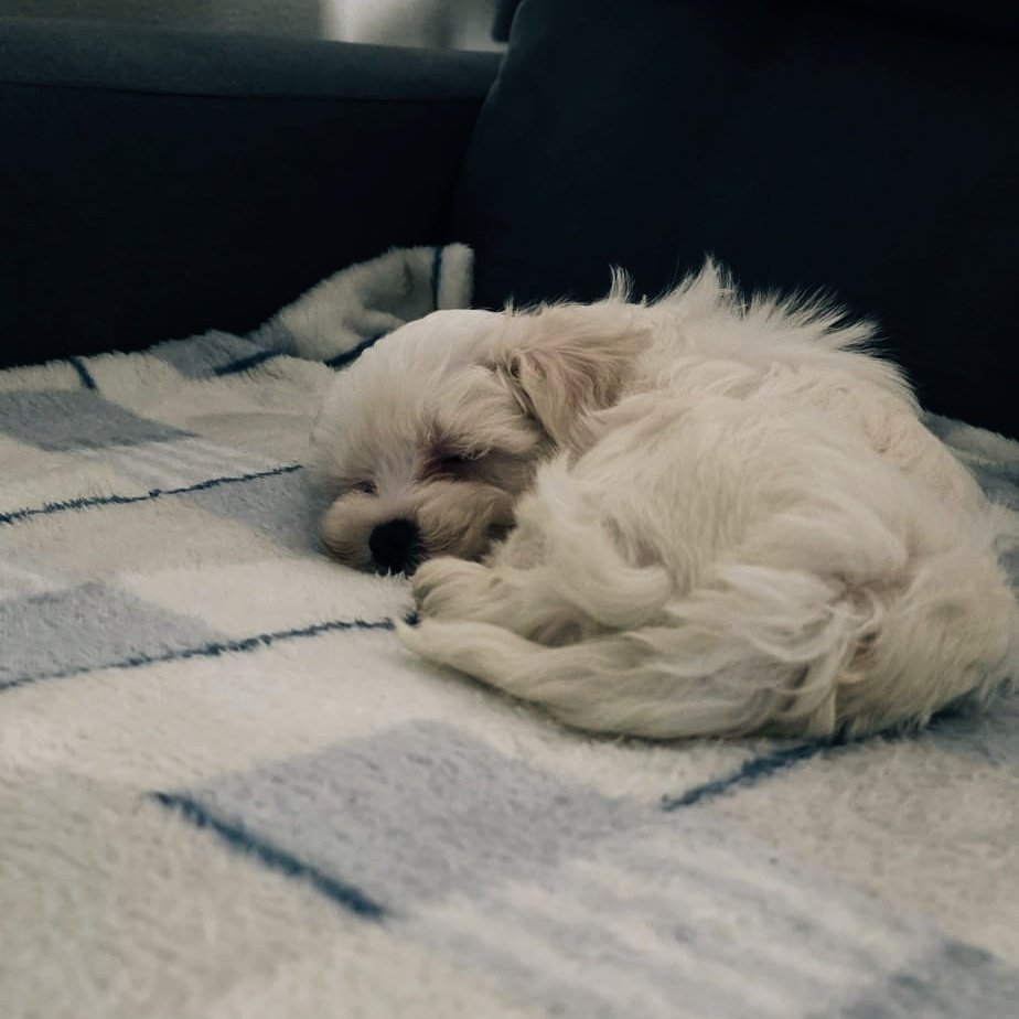 ivy ୨ৎ dwy tweet media