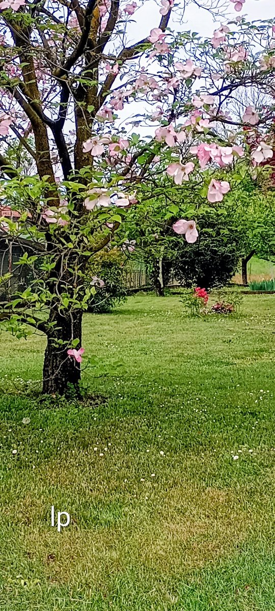 LauraPapa18's tweet photo. Bye bye April 
🌸💚🌸💚🌸 https://t.co/UkjVOhMGMo