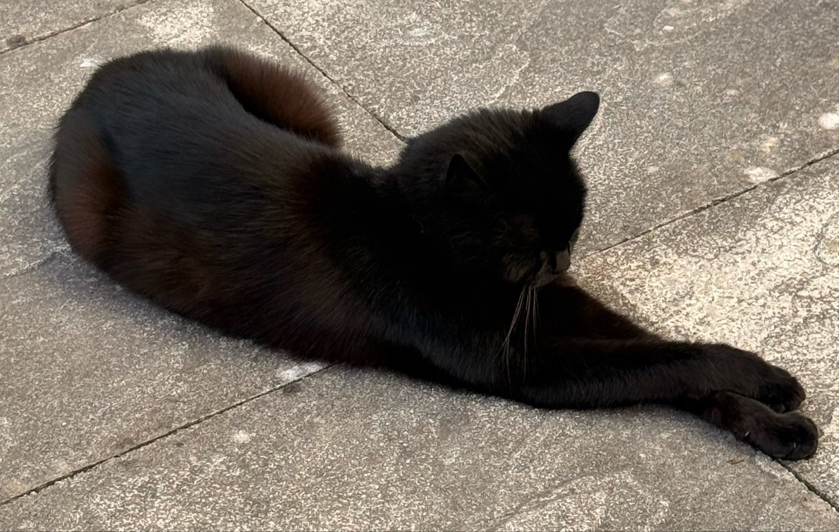 fนຖkฯ phil ツ™ tweet media