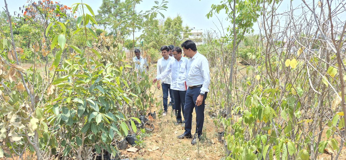 DPRO_WANAPARTHY's tweet image. తీసుకుంటామని హెచ్చరించారు. @Collector_WNP #collector #collectorwanaparthy #localbodycollector #Municipality #AmritScheme #MunicipalCommissioner @IPRTelangana