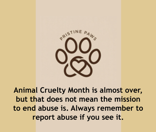 Pristine_PawsX's tweet image. Animal Cruelty Month is almost over! still remember to look for signs of abuse!
#animals #cats #dogs #april #animalrescue #aspca