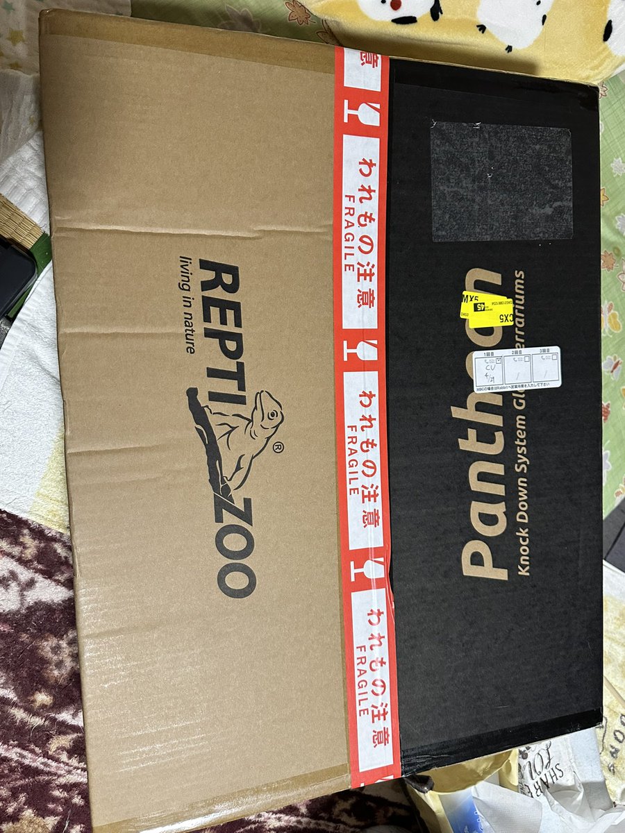 Snake_Gecko777's tweet photo. 着々とお迎え準備進んでる https://t.co/hkEZMWQsFB