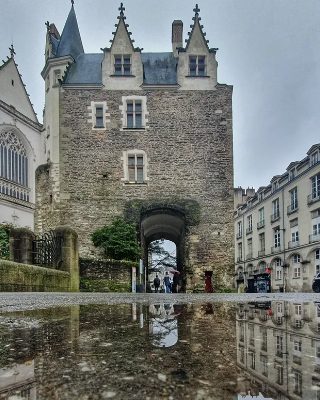 MetternichDe's tweet image. Après la pluie vient le beau temps #JeudiPhoto
