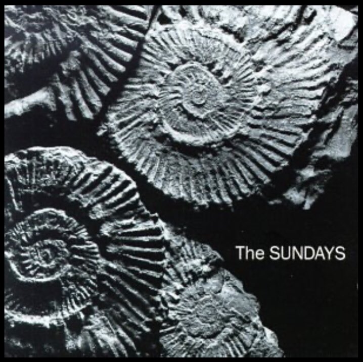 CorvetteM's tweet photo. @rocknrollofall I agree with most of the replies so I’ll go off the beaten path with The Sundays https://t.co/Atx885AOiN
