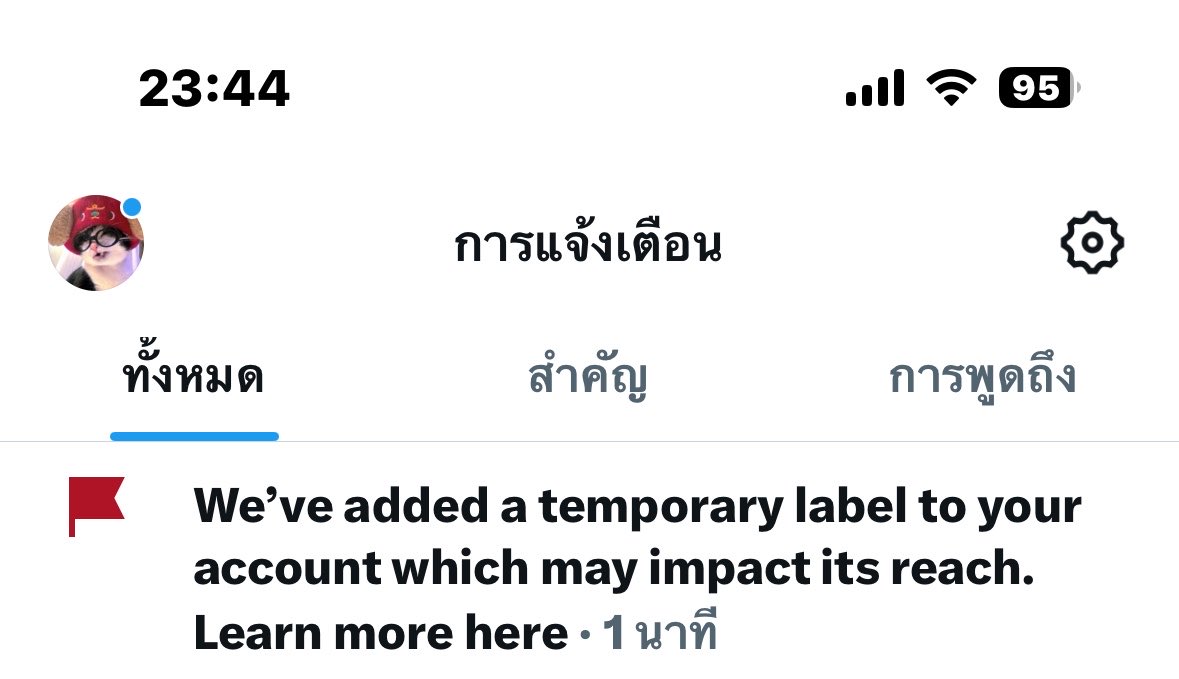f 🐈‍⬛ tweet media