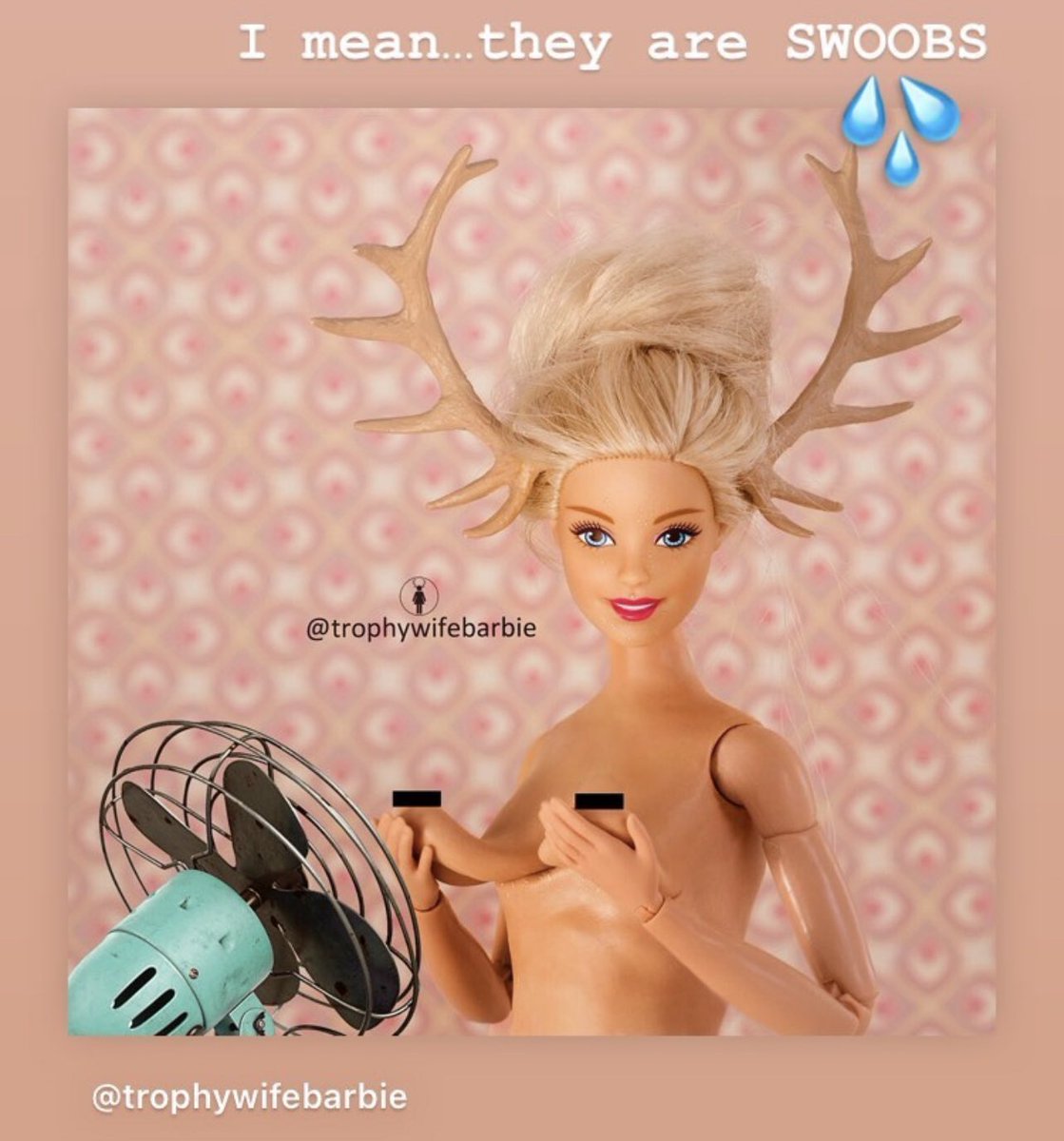 HumpDayHashTags's tweet photo. #WhenItsMay Antler Barbie will come out to play! 😉 And cool off afterwards. https://t.co/kuLzmq52dY