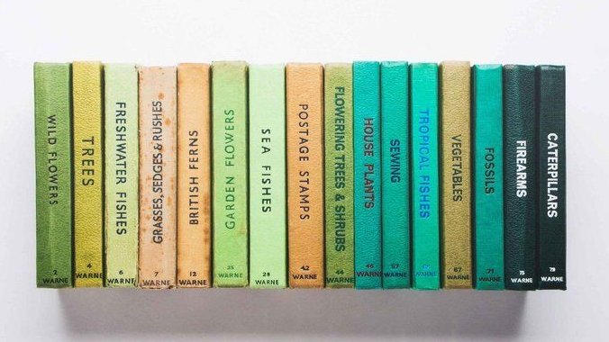 FegrdMuse's tweet image. Orange energises. Teal cools. Green steadies.🍊🫒

Which chapter of this palette are you in today — the warm one, the cool one, or the quiet space between?

#Colour #Color #ColourMuse