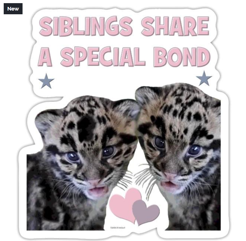 Keybord's tweet image. #cloudedleopardcubs #stickers $2.49 #mugs #siblings 

kristalcurt.myspreadshop.com/clouded+leopar…