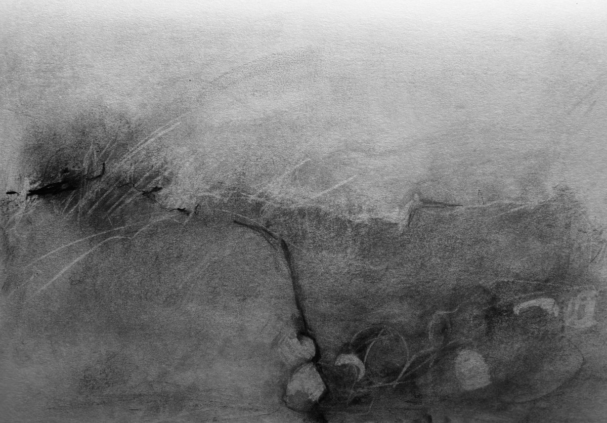 Becca3Artach's tweet image. #sketchbook #charcoal A3