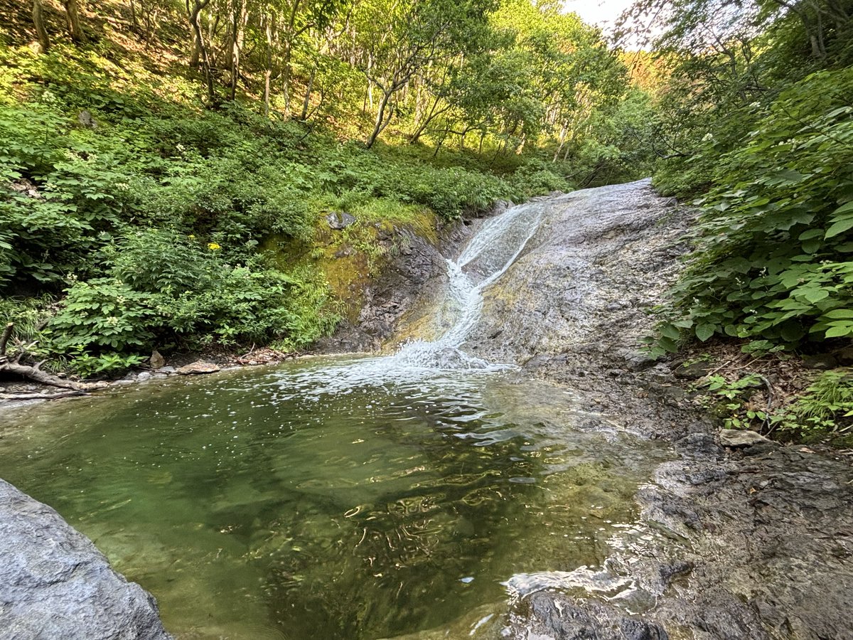 zyoneco's tweet photo. 本格的な沢渡り🥾
水着着用すれば溜まっている温泉に入ることもできる( ˙꒳˙ )！ https://t.co/cR6mi7CZw0