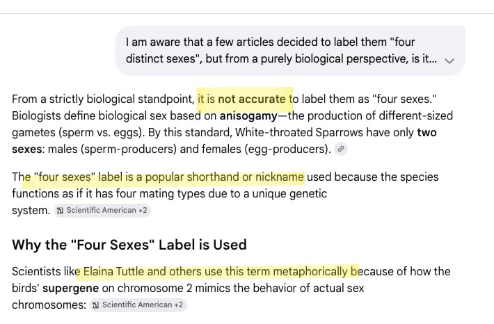 Supernova tweet media