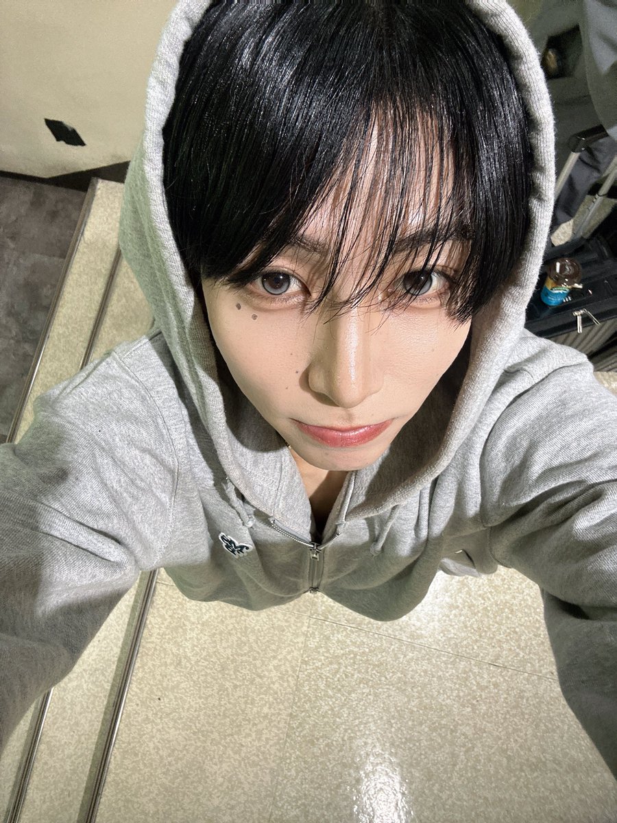 全肯定ペンギン一号 tweet media