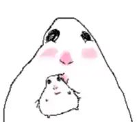 HedDumヘダム🍄 tweet media
