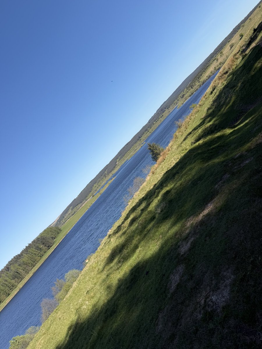 BondJMBond's tweet photo. I’ve filled my cup up today 🧘‍♀️☀️🚶‍♀️🥰 https://t.co/oPJ7UElhtp