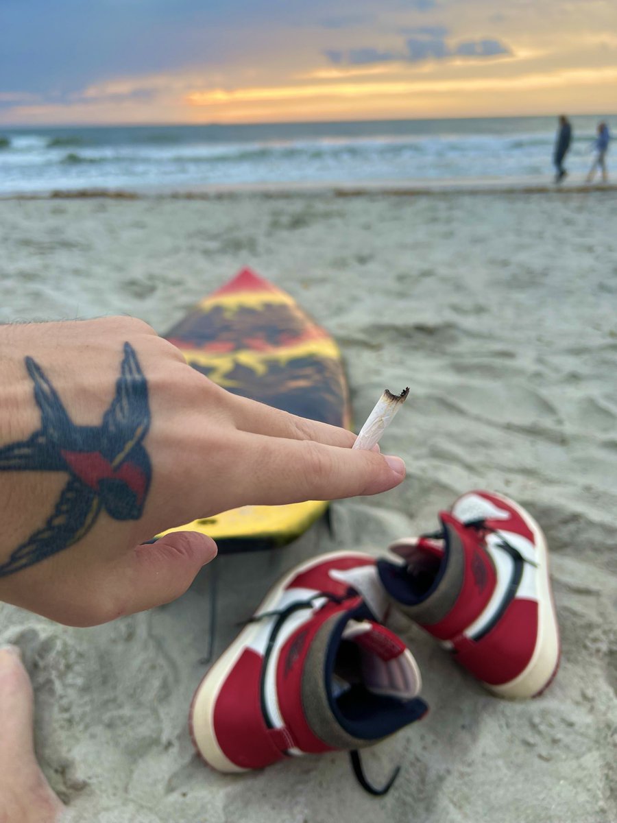 Joey Gnarly tweet media