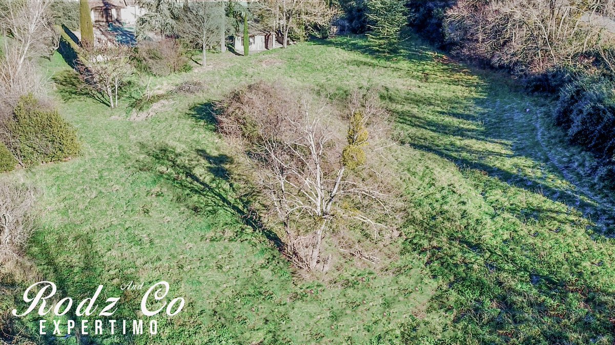 co_rodz's tweet photo. 🏡 Terrain exceptionnel à Apt – 5 200 m² avec vue Mont Ventoux 🌄

Opportunité rare en Provence : cadre naturel, fort potentiel, emplacement premium.

👉 À découvrir sans tarder

#Immobilier #Apt #MontVentoux #Investissement #Provence #Terrain #RealEstate https://t.co/DtUS0TPU3z