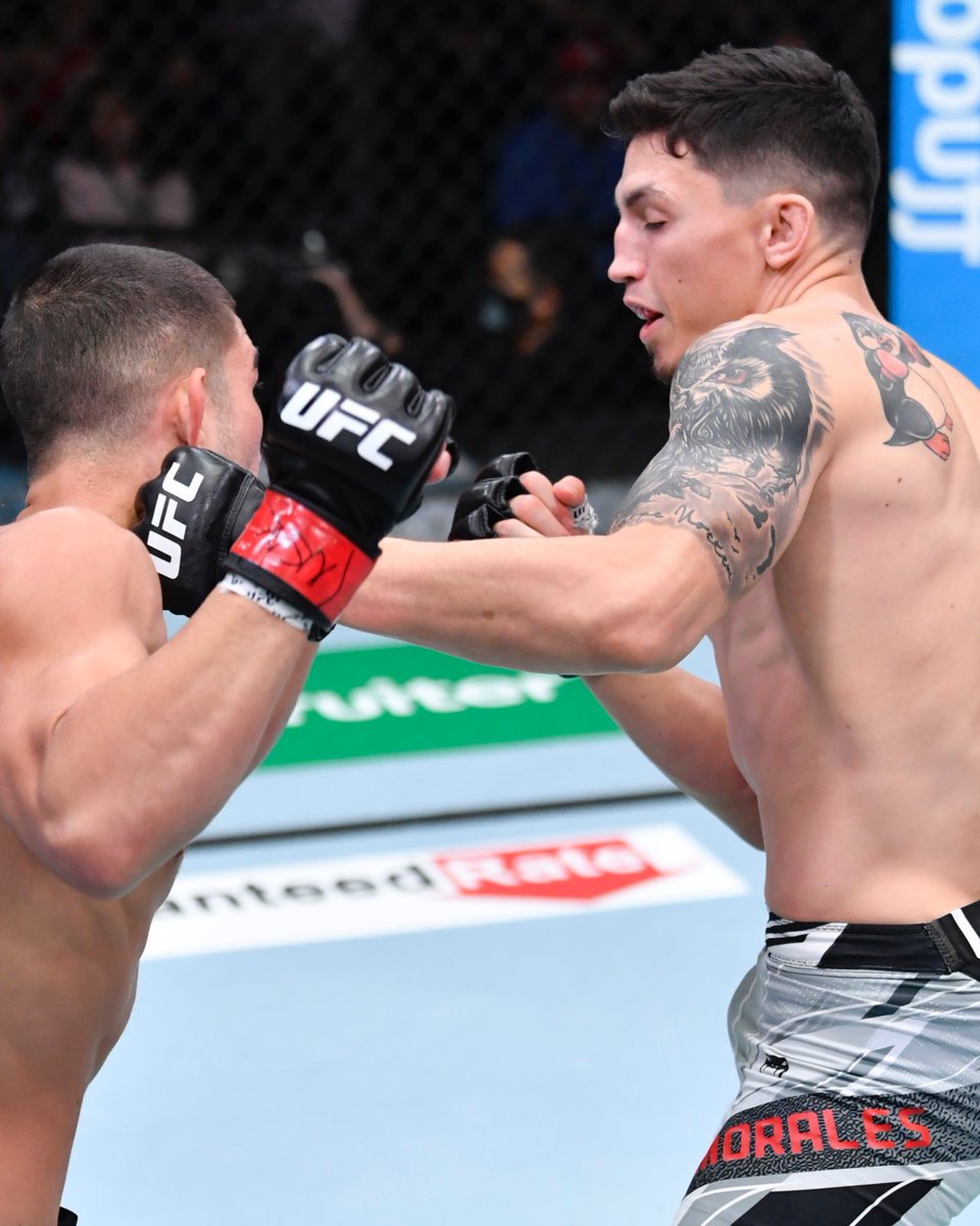 UFC Español tweet media