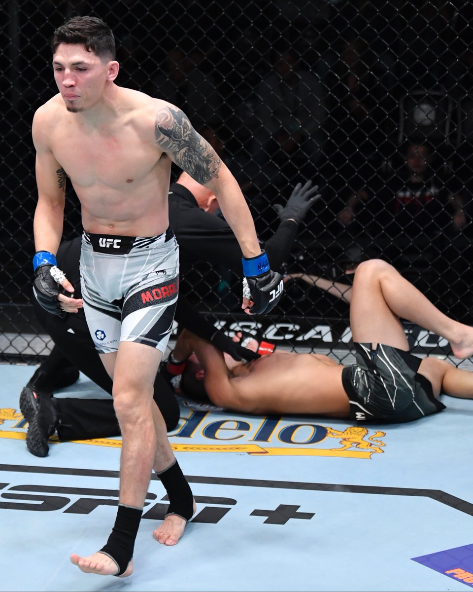 UFC Español tweet media