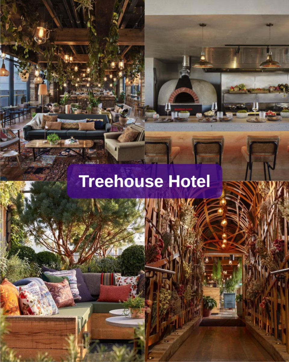LateRooms's tweet photo. 3 of the coolest hotels in London 🇬🇧

From treehouse-style stays to a yacht hotel and bold design spaces, these London hotels are anything but ordinary.

Which one are you booking first? 👀

#LondonHotels #CityBreaks #LateRooms ✈️ https://t.co/7oLNi7IRNs