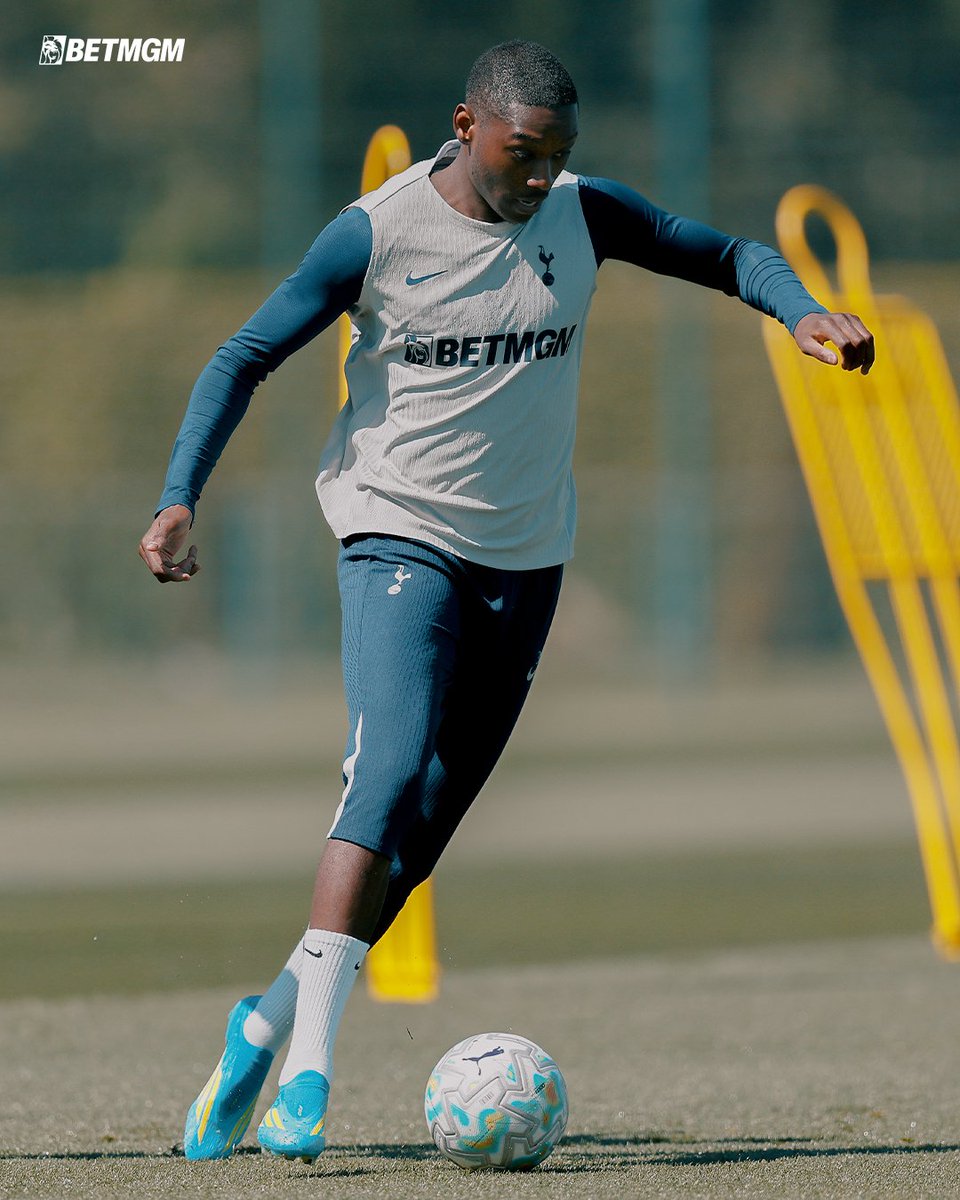 Tottenham Hotspur tweet media