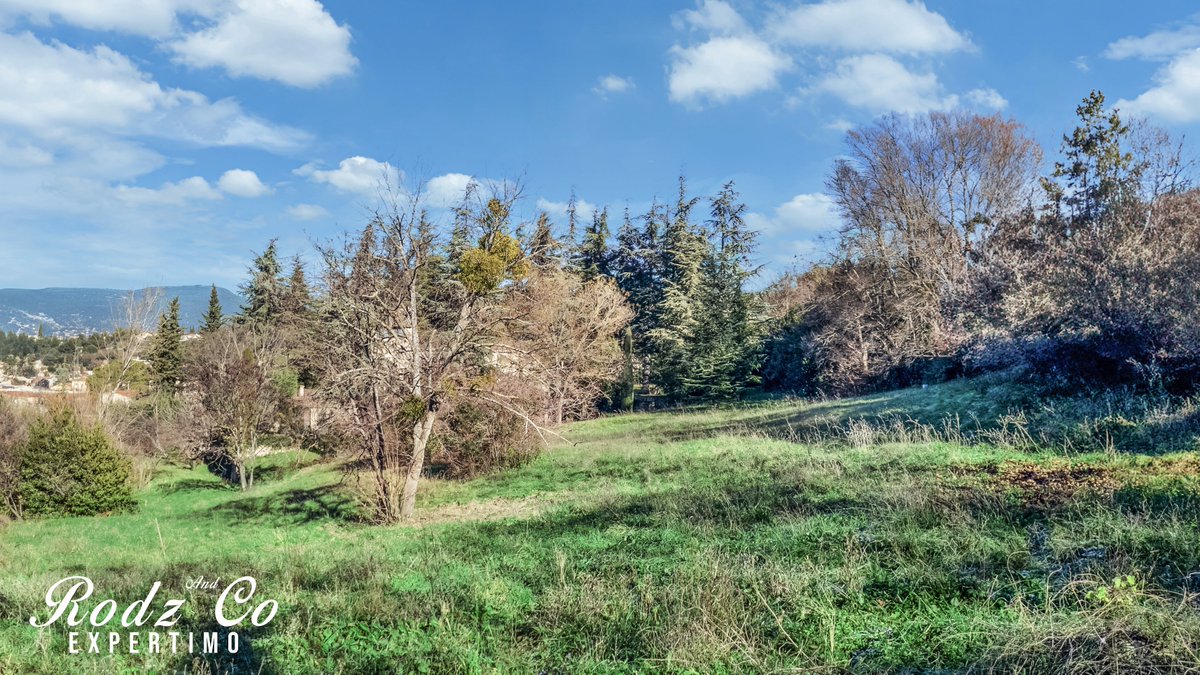 co_rodz's tweet photo. 🏡 Terrain exceptionnel à Apt – 5 200 m² avec vue Mont Ventoux 🌄

Opportunité rare en Provence : cadre naturel, fort potentiel, emplacement premium.

👉 À découvrir sans tarder

#Immobilier #Apt #MontVentoux #Investissement #Provence #Terrain #RealEstate https://t.co/ffBMnBvGfv