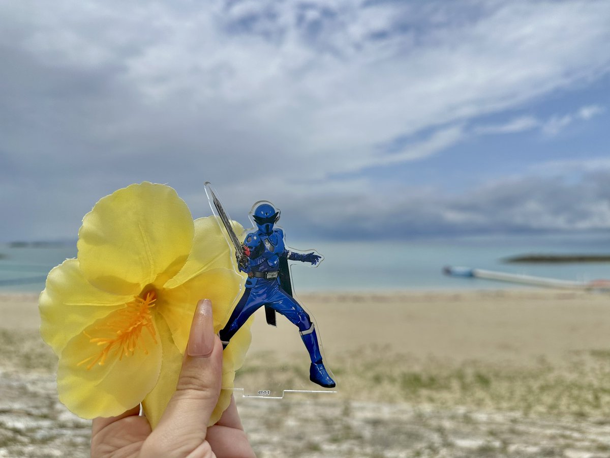 nt_hoshi's tweet photo. トンボちゃん、沖縄楽しかったね〜🌺💙 https://t.co/1SzYE9KeKq