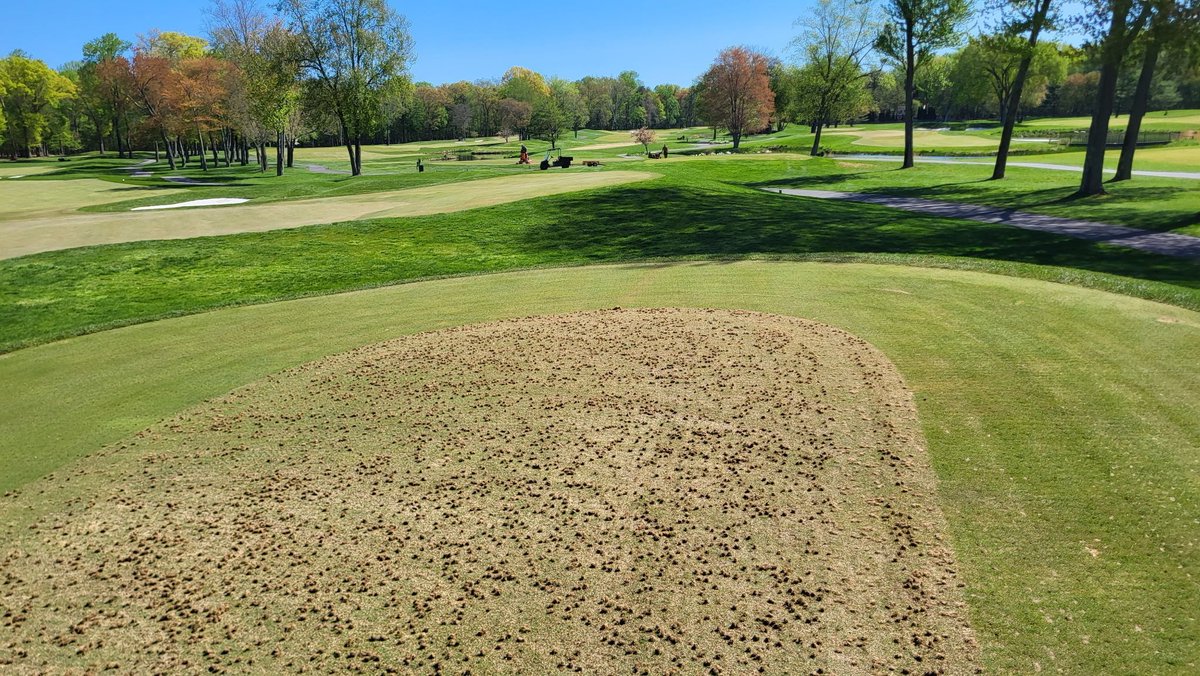 Omega Turf Solutions tweet media