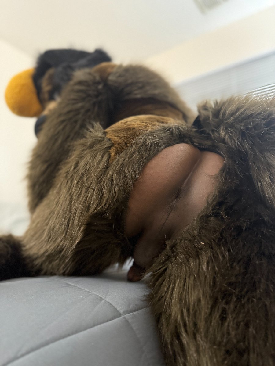 Mutuals going to FWA, let me know. I'm doing a thing. :3

(Pic for visibility.)