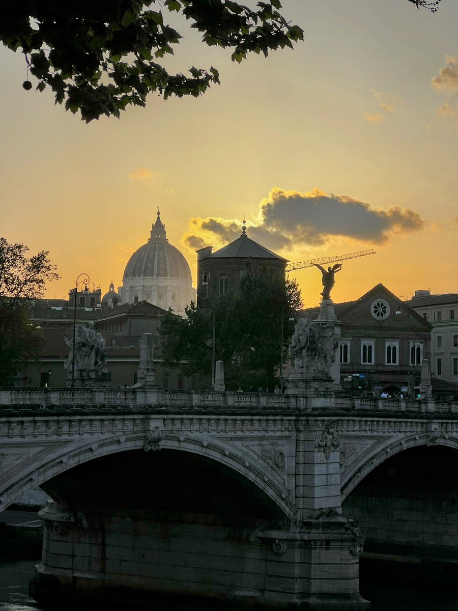 MinervaArmata's tweet image. E domani ci si riposa
#Roma #buonaserata #goodnight