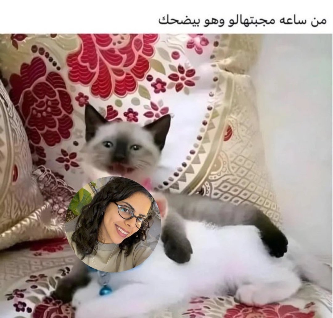 MANAR tweet media