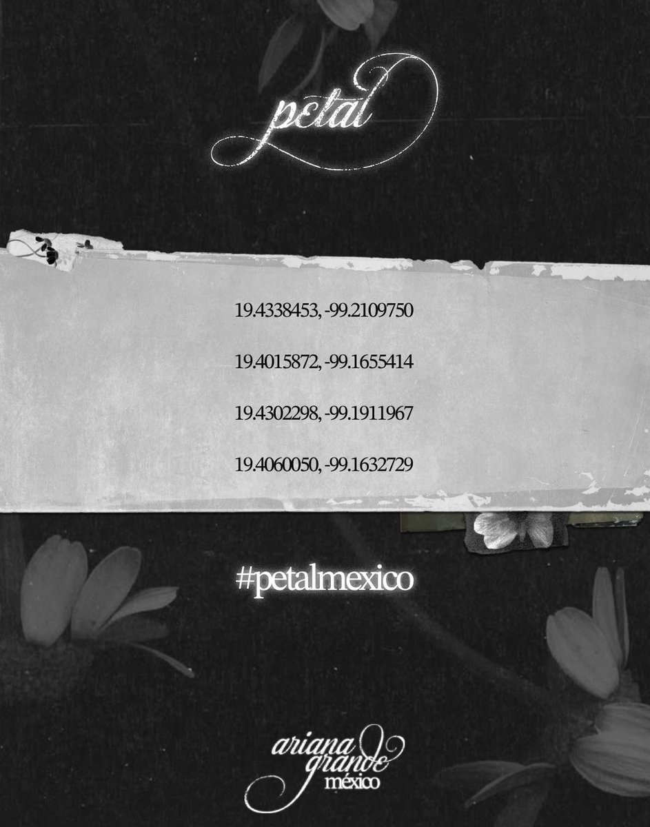 ariana grande méxico ꕤ tweet media