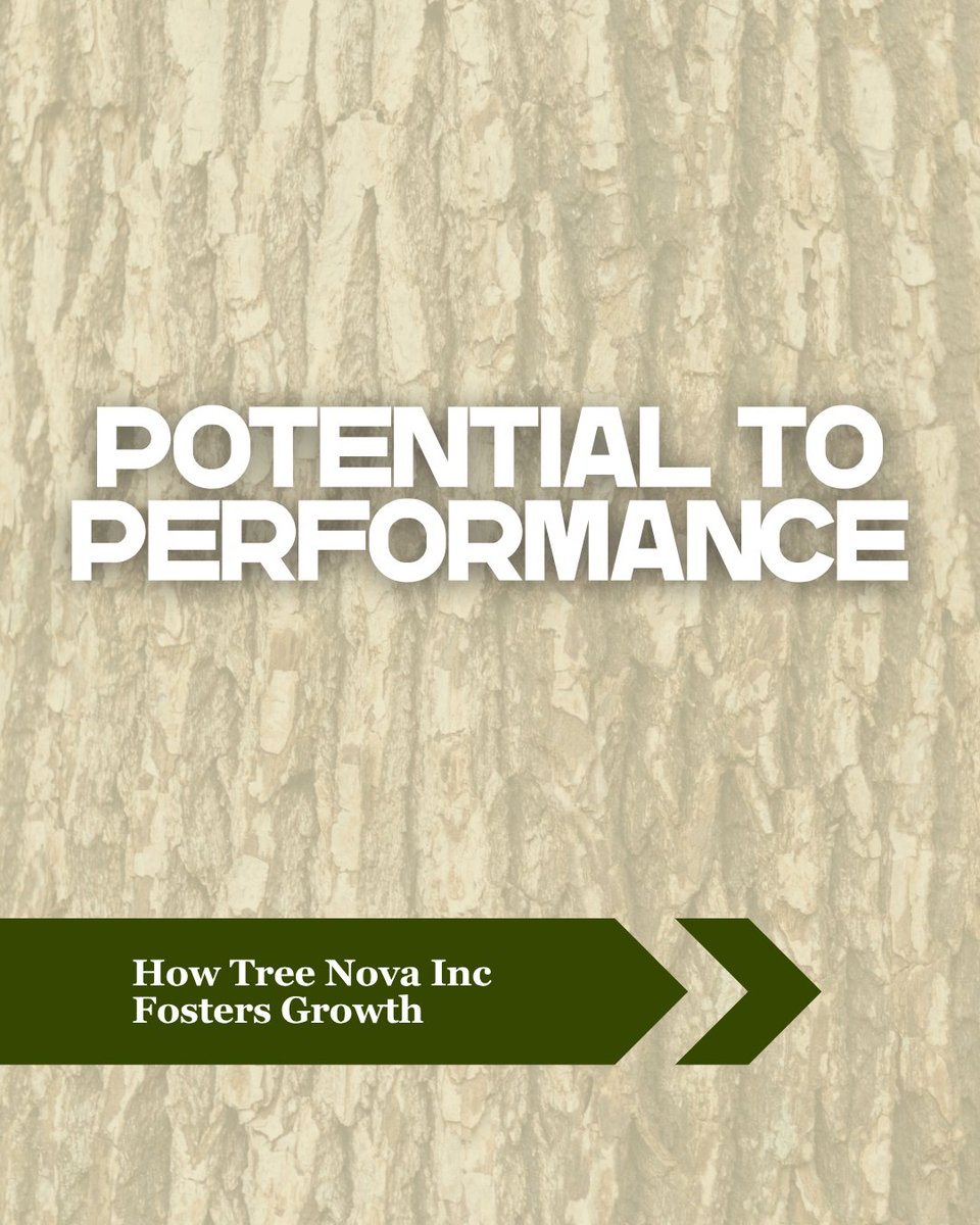 TreeNovaInc's tweet image. At Tree Nova Inc, we believe in turning every opportunity into achievement through focus, collaboration, and a growth-driven mindset. Visit our website for more information about Tree Nova Inc. 🚀
treenovainc.com
-
#growwithus #intentionalgrowth #peoplefirstculture
