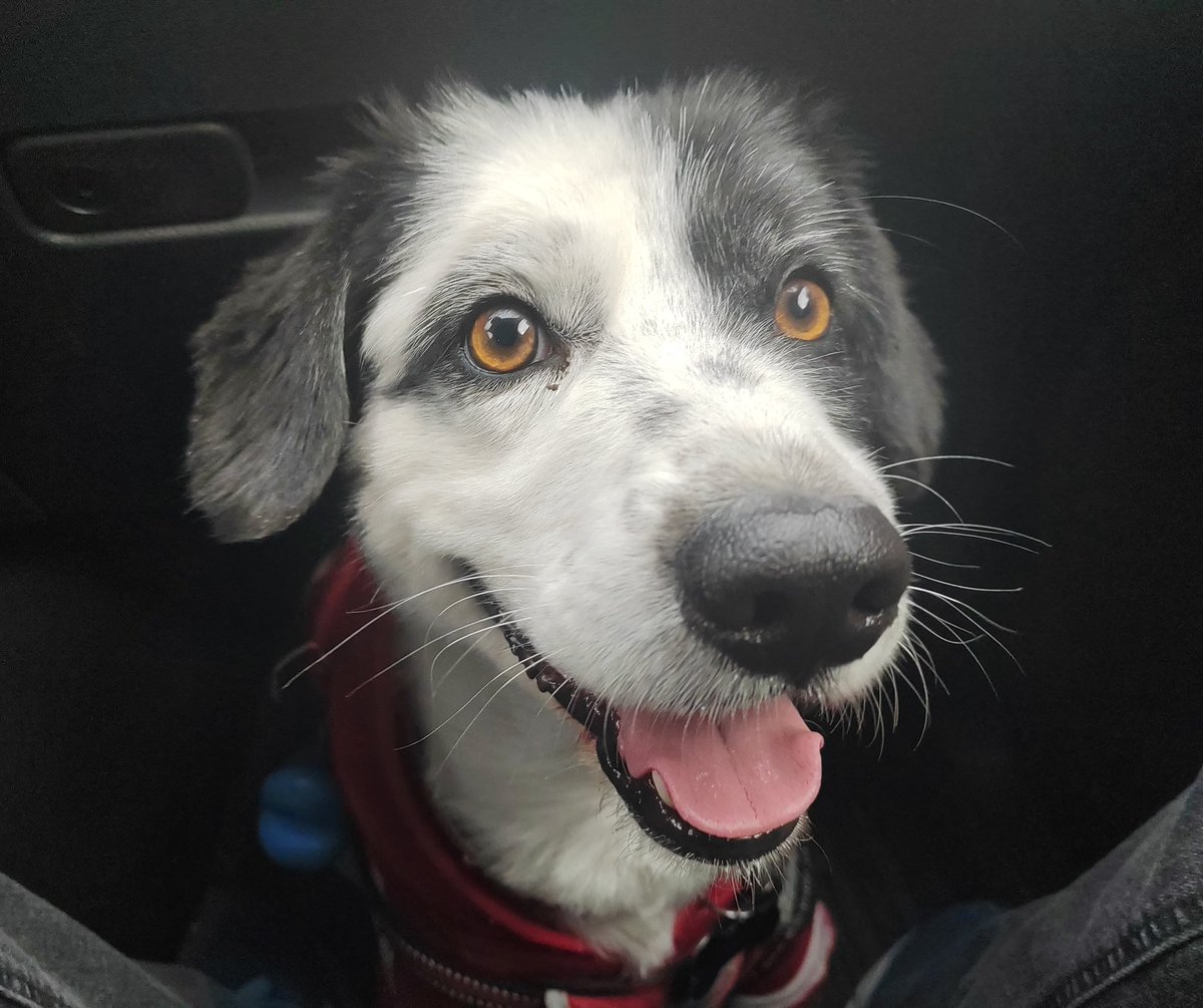 cecilita tweet media