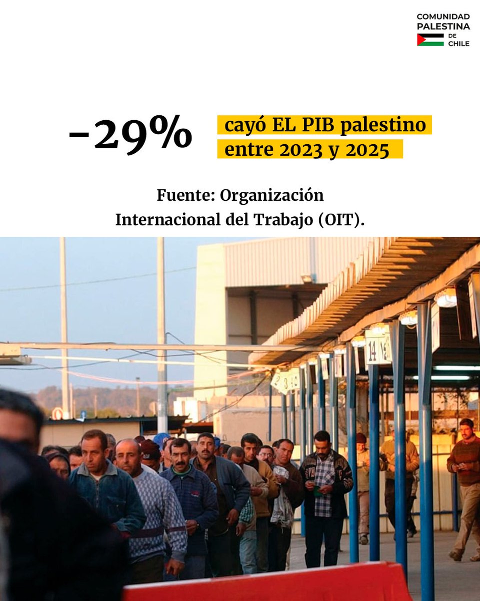 Comunidad Palestina de Chile tweet media