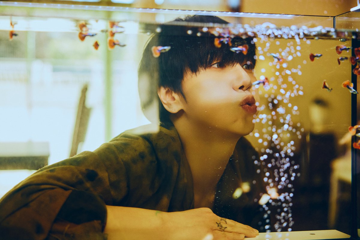 グッピーも、こんな感じで撮影するタッチもアリなんですね。

#YESUNG　さん
#咲き誇る時を待つのは